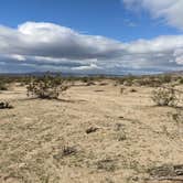 Review photo of Joshua Tree South - BLM Dispersed by Laura M., November 13, 2022