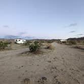 Review photo of Joshua Tree South - BLM Dispersed by Laura M., November 13, 2022