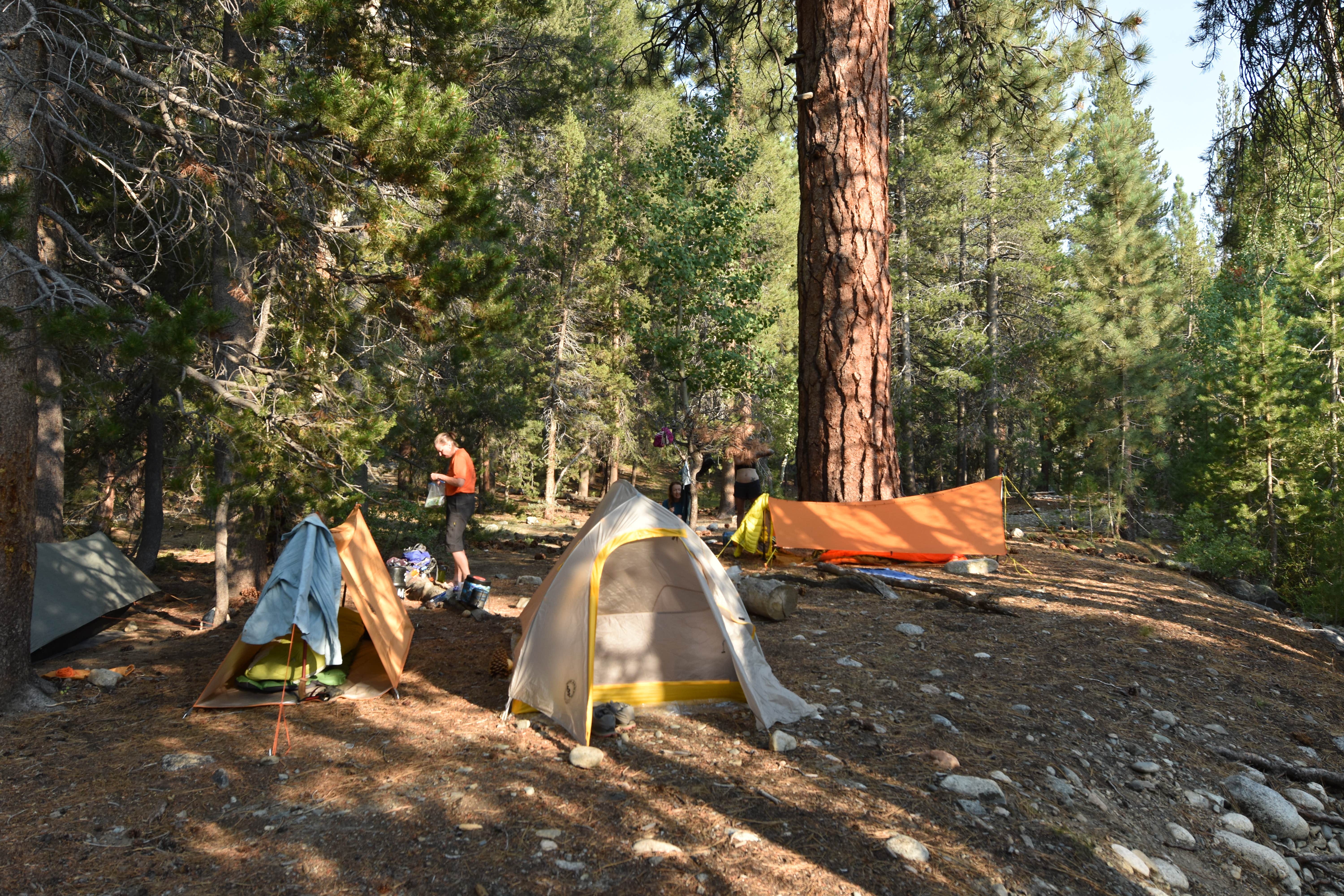 Steph H.'s photo of a dispersed camping area at Florence Lake Dispersed near Wishon, CA