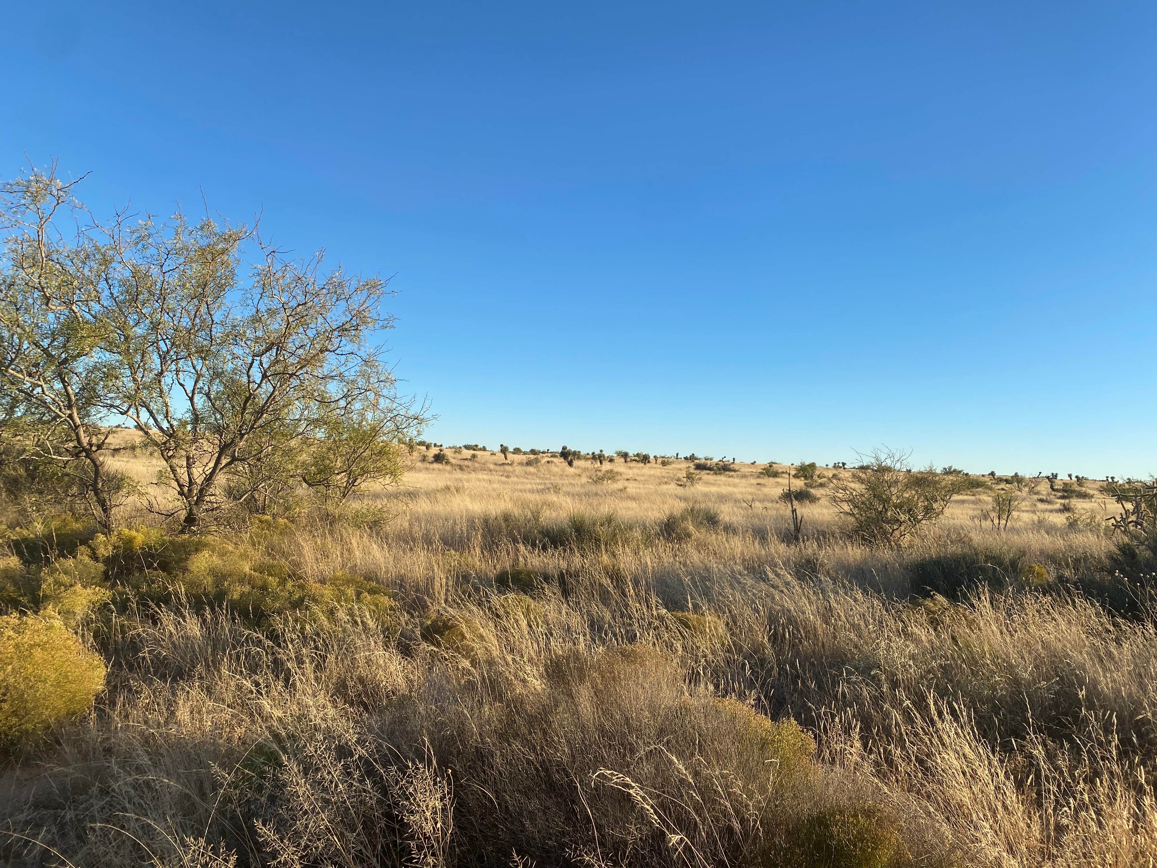 Camper submitted image from Forrest Hollow Ranch - Desert Campsites - 1