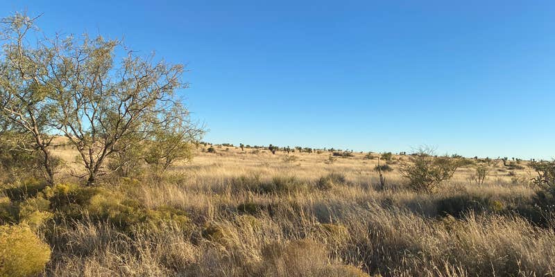 Camper submitted image from Forrest Hollow Ranch - Desert Campsites