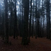 Review photo of Pine Glen Recreation Area by Taylor , November 13, 2022