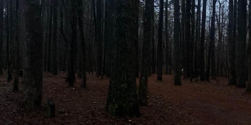 Camper submitted image from Pine Glen Recreation Area