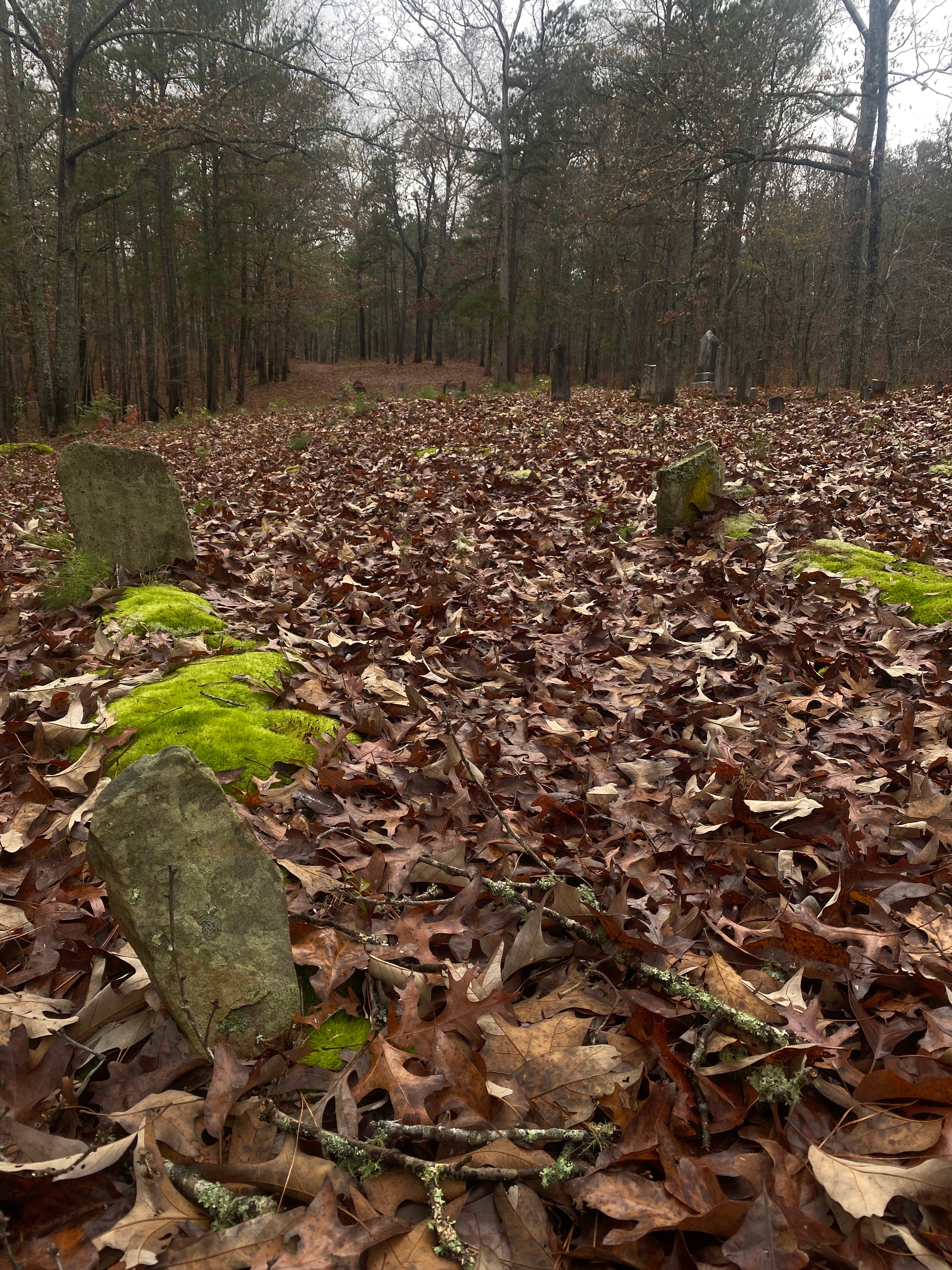 Camper-submitted photo at Pine Glen Recreation Area near Rainbow City, AL