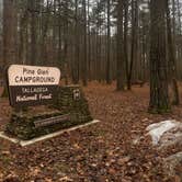 Review photo of Pine Glen Recreation Area by Taylor , November 13, 2022