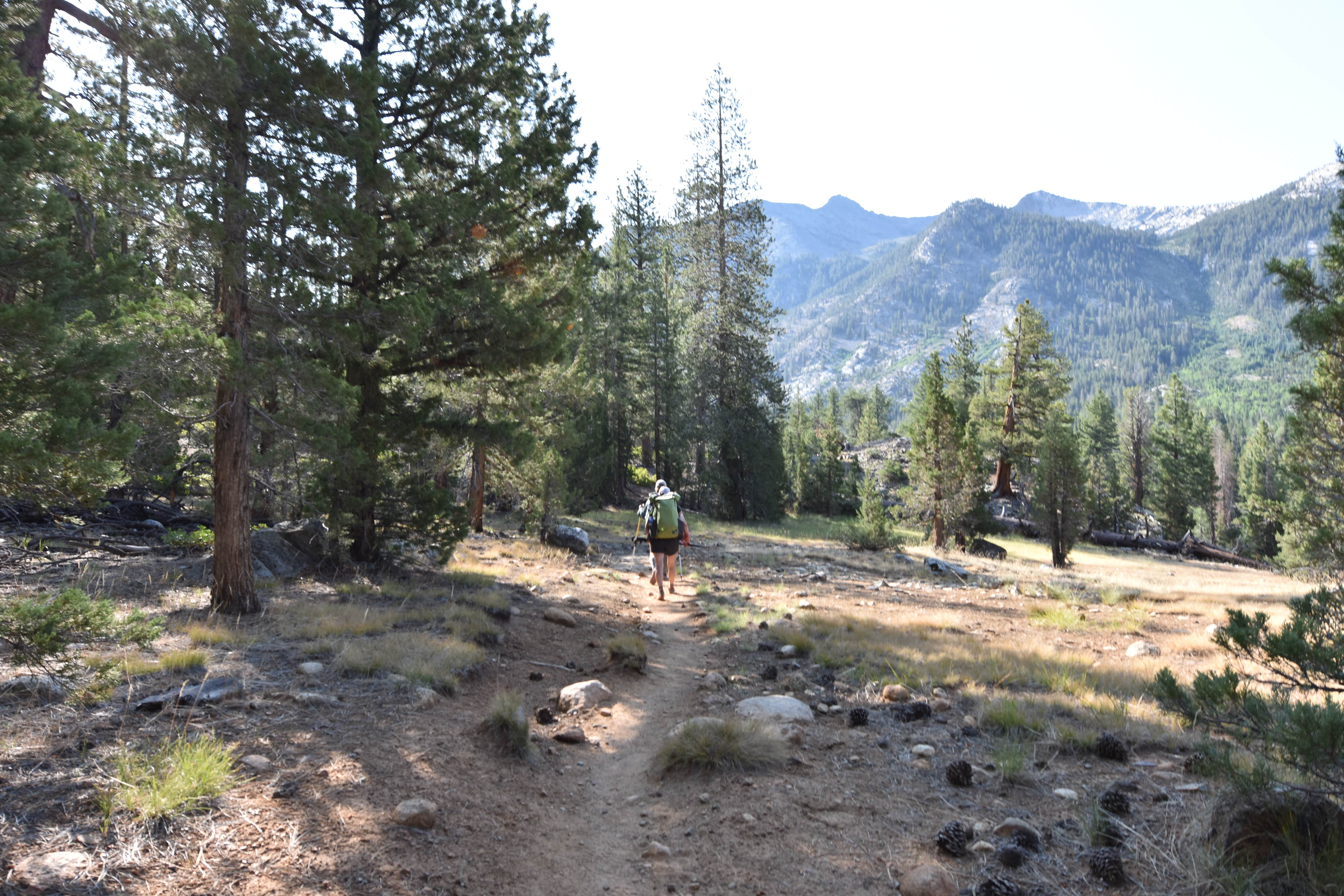 Camper-submitted photo at Florence Lake Dispersed near Big Creek, CA