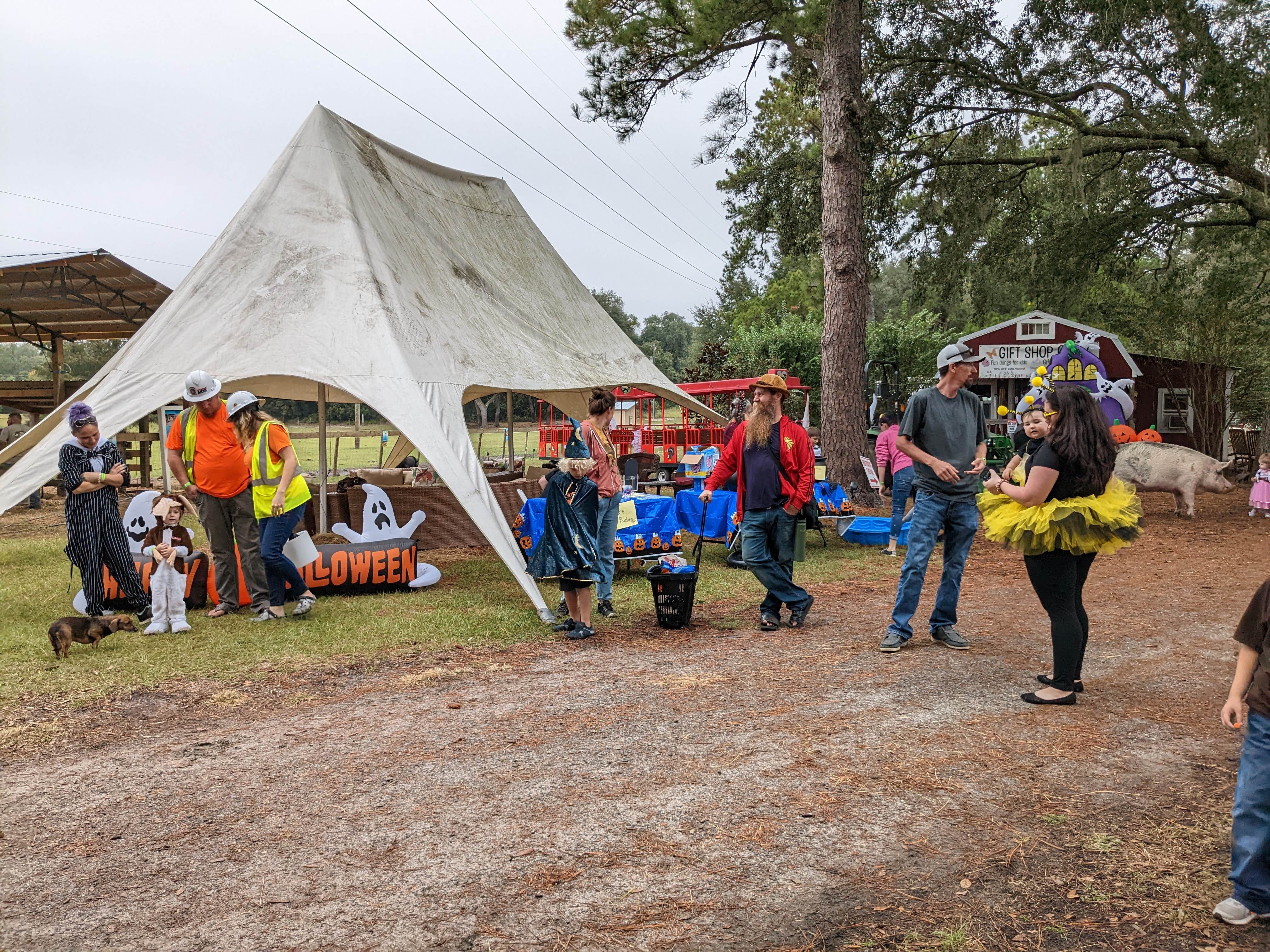 Elaine's photo at Rooterville Animal Sanctuary near Middleburg, FL