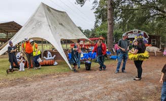Elaine's photo at Rooterville Animal Sanctuary near Starke, FL