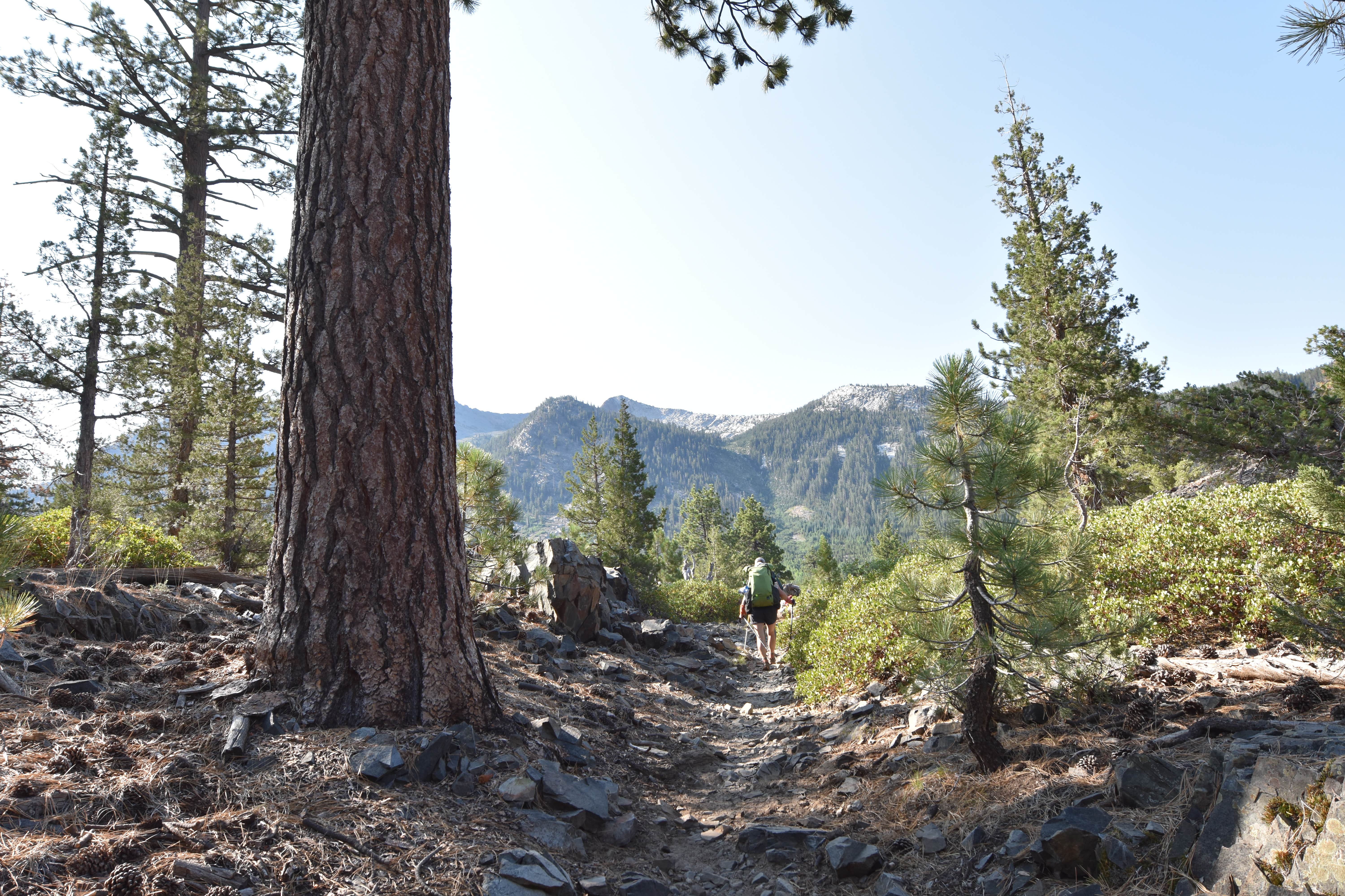 Camper-submitted photo at Florence Lake Dispersed near Big Creek, CA