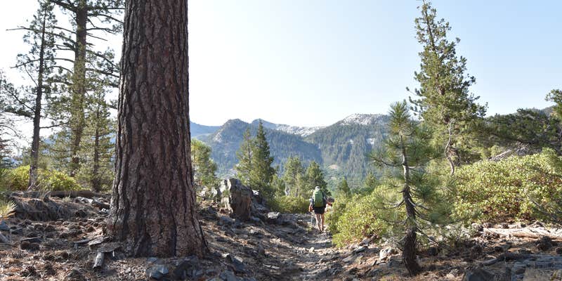 Camper submitted image from Florence Lake Dispersed