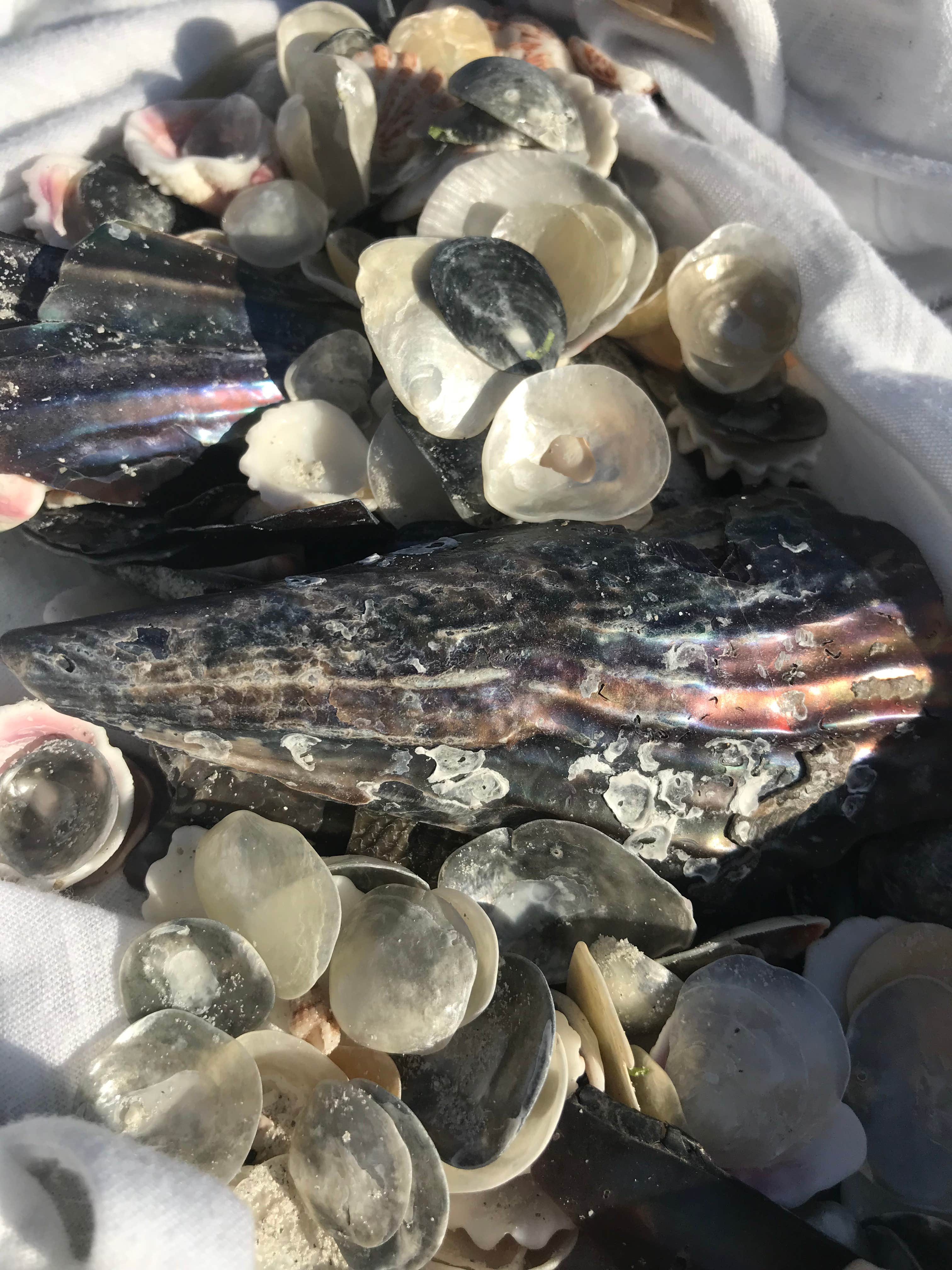 Camper-submitted photo at Periwinkle Park near St. James City, FL