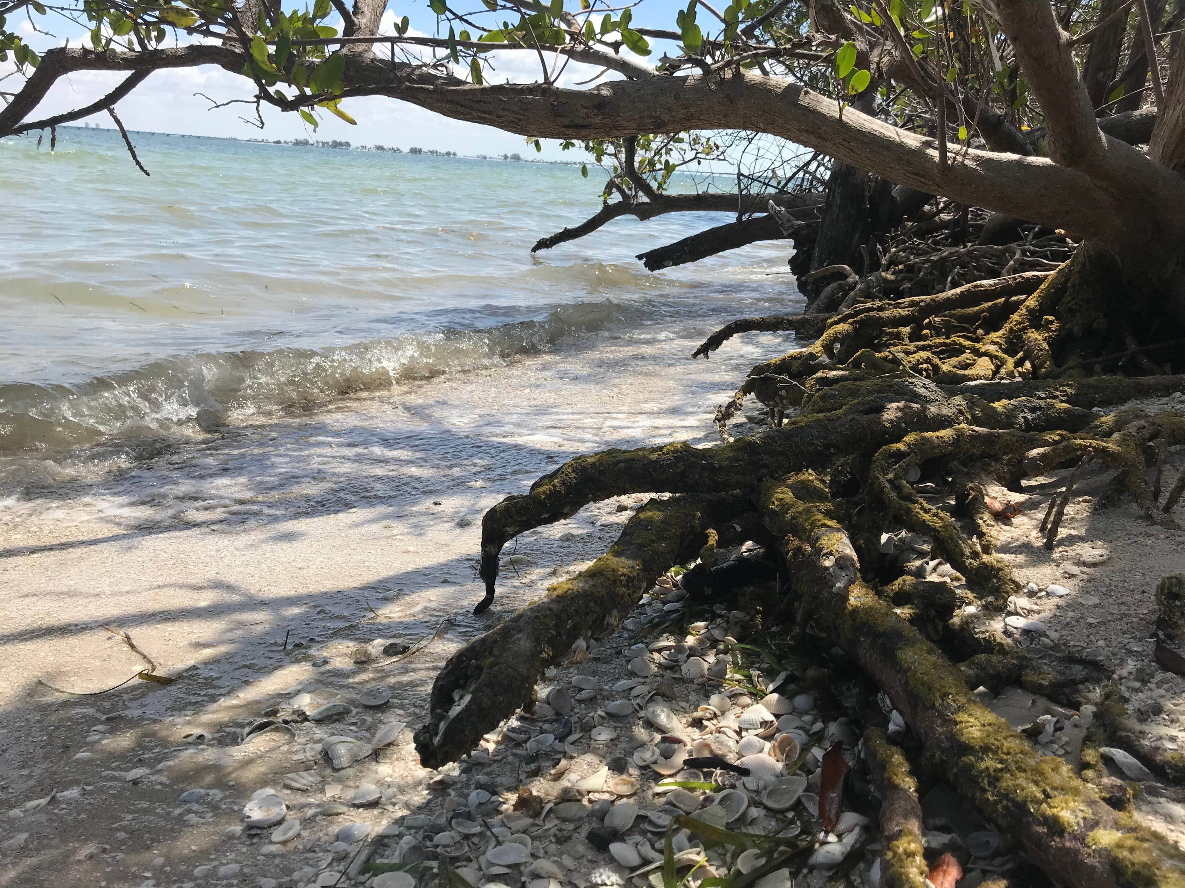 Camper-submitted photo at Periwinkle Park near St. James City, FL