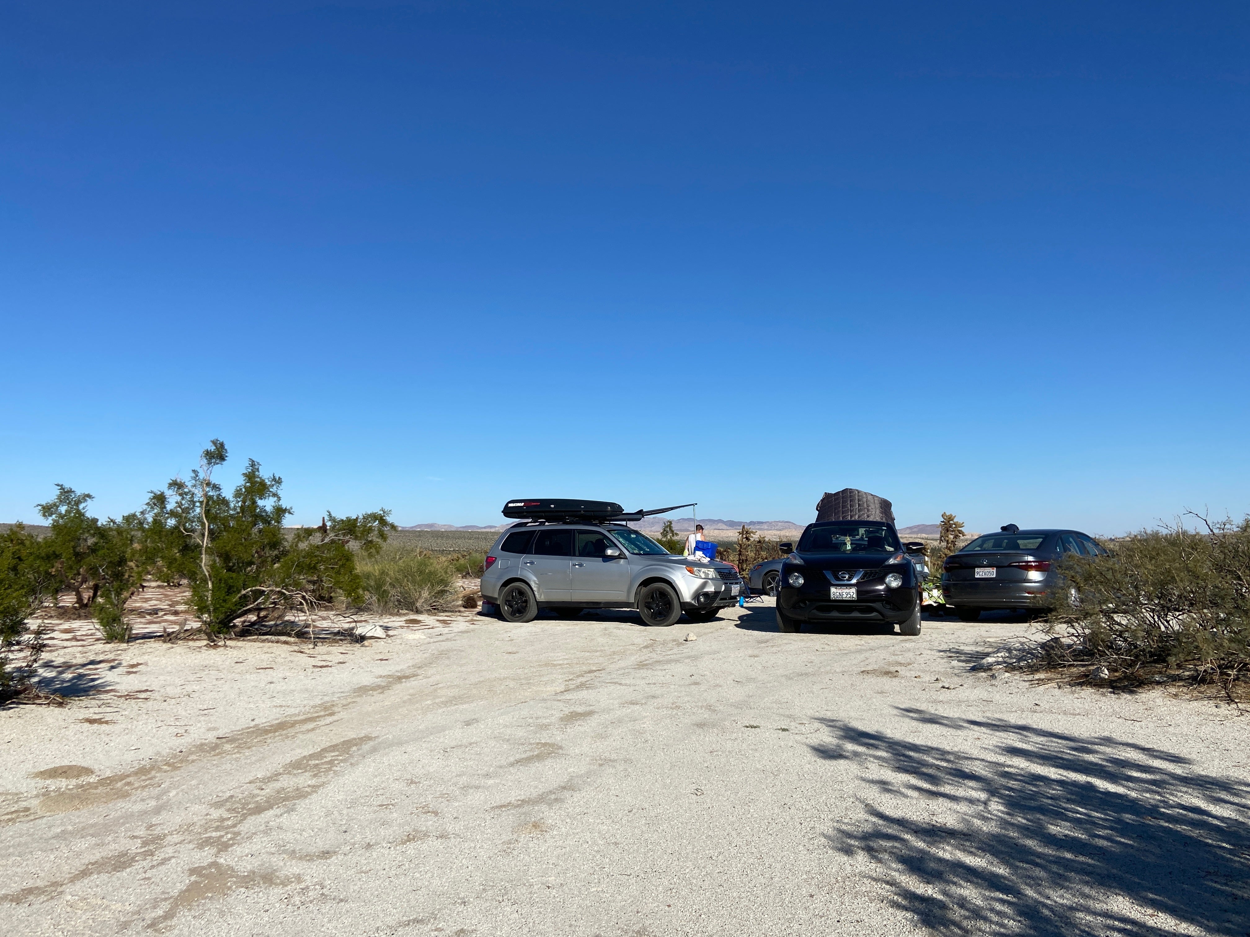 Camper submitted image from Mountain Palm Springs Primitive Campground — Anza-Borrego Desert State Park - 3