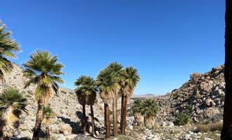 Camping near Rio Bend RV & Golf Resort: Mountain Palm Springs Primitive Campground — Anza-Borrego Desert State Park, Mount Laguna, California