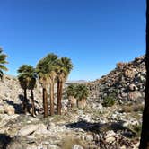 Review photo of Mountain Palm Springs Camp by Jacob S., November 14, 2022