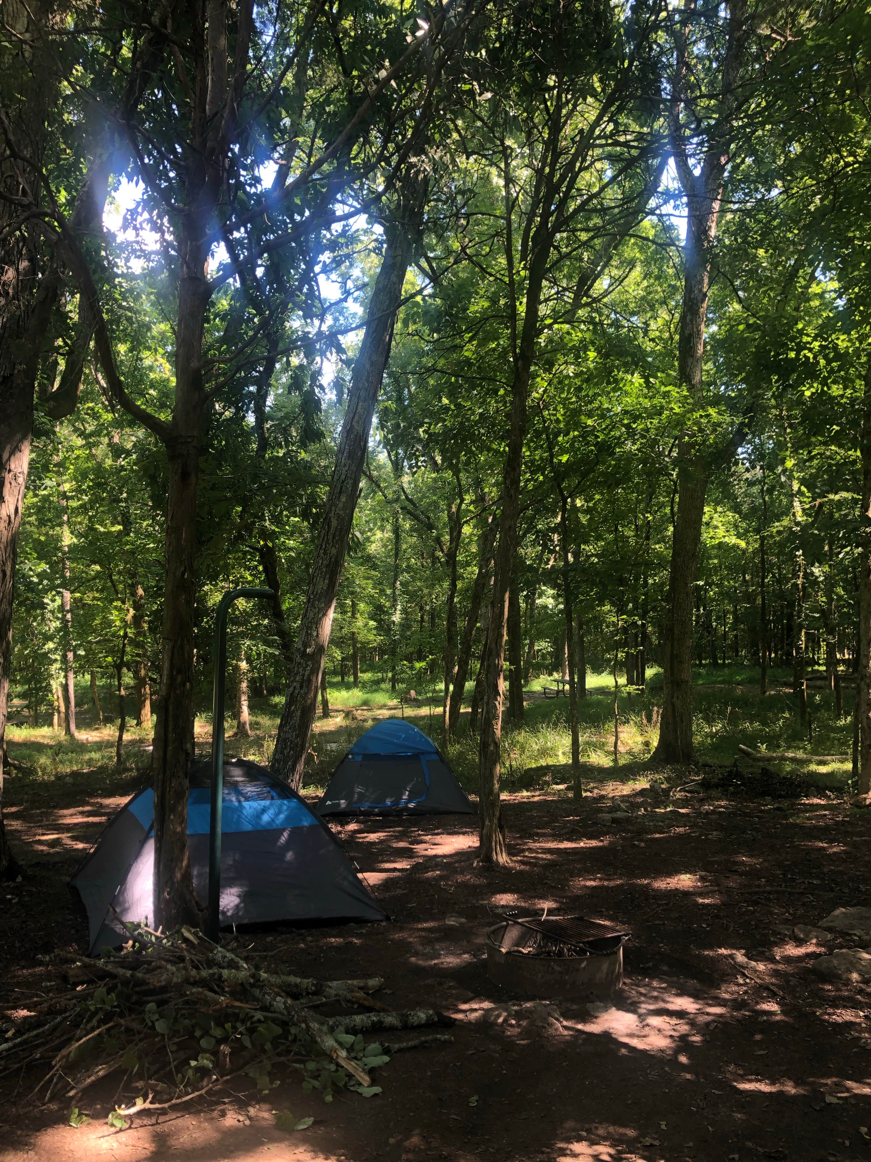 Lauren S.'s photo at Henry Horton State Park Campground near Columbia, TN