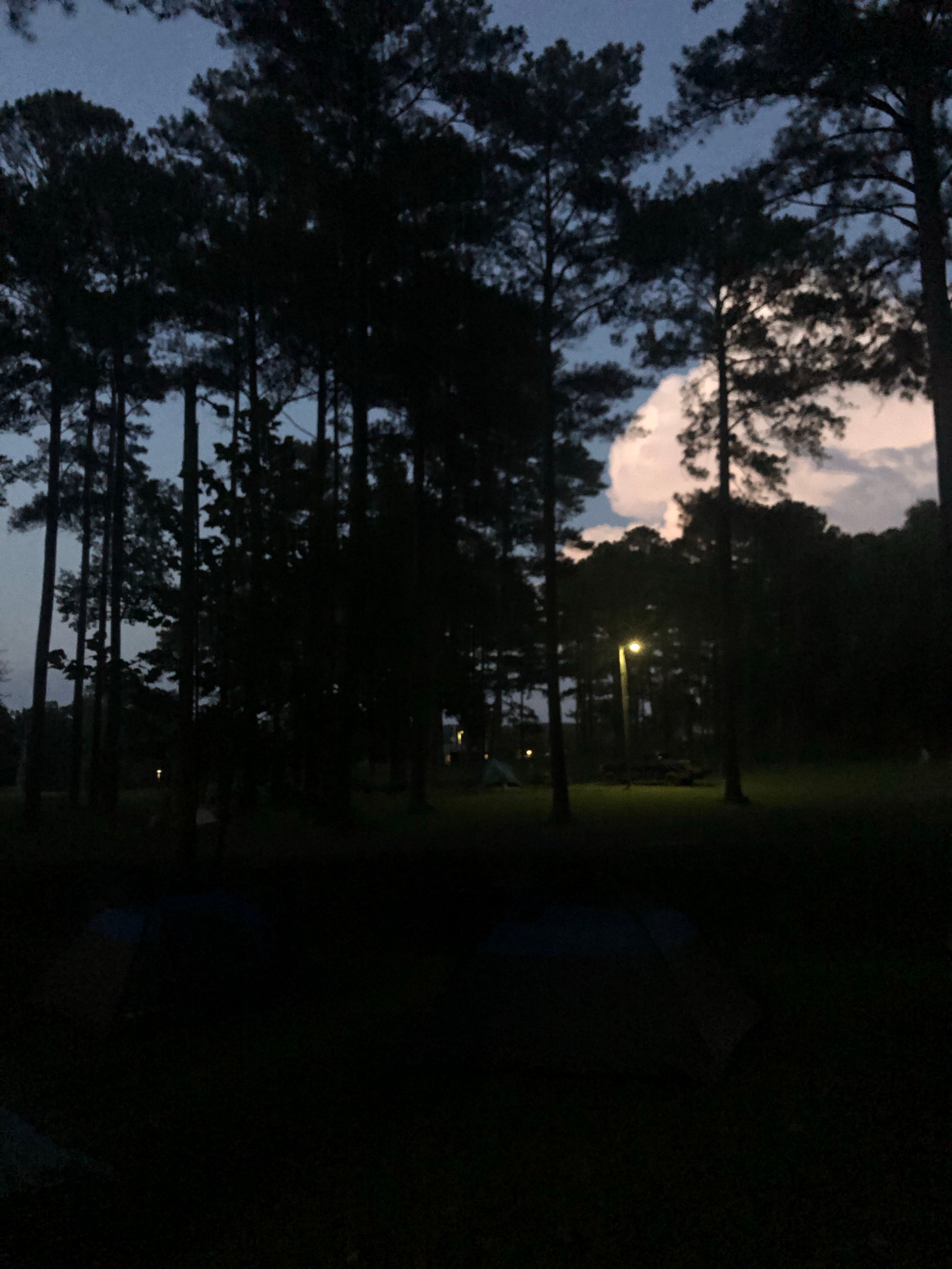 Camper submitted image from Smith Lake Park - 1