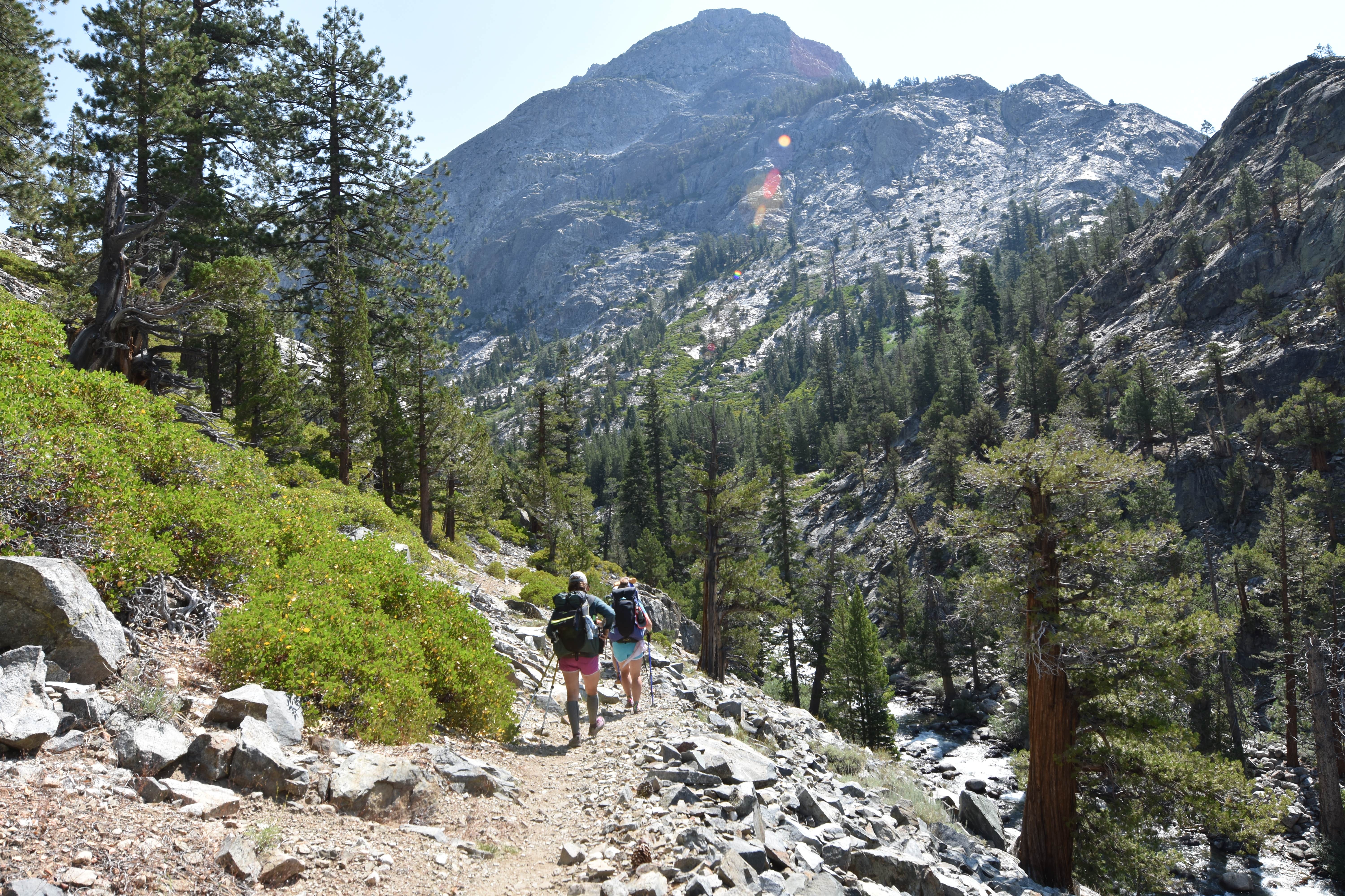 Camper submitted image from Piute Creek Dispersed - 2