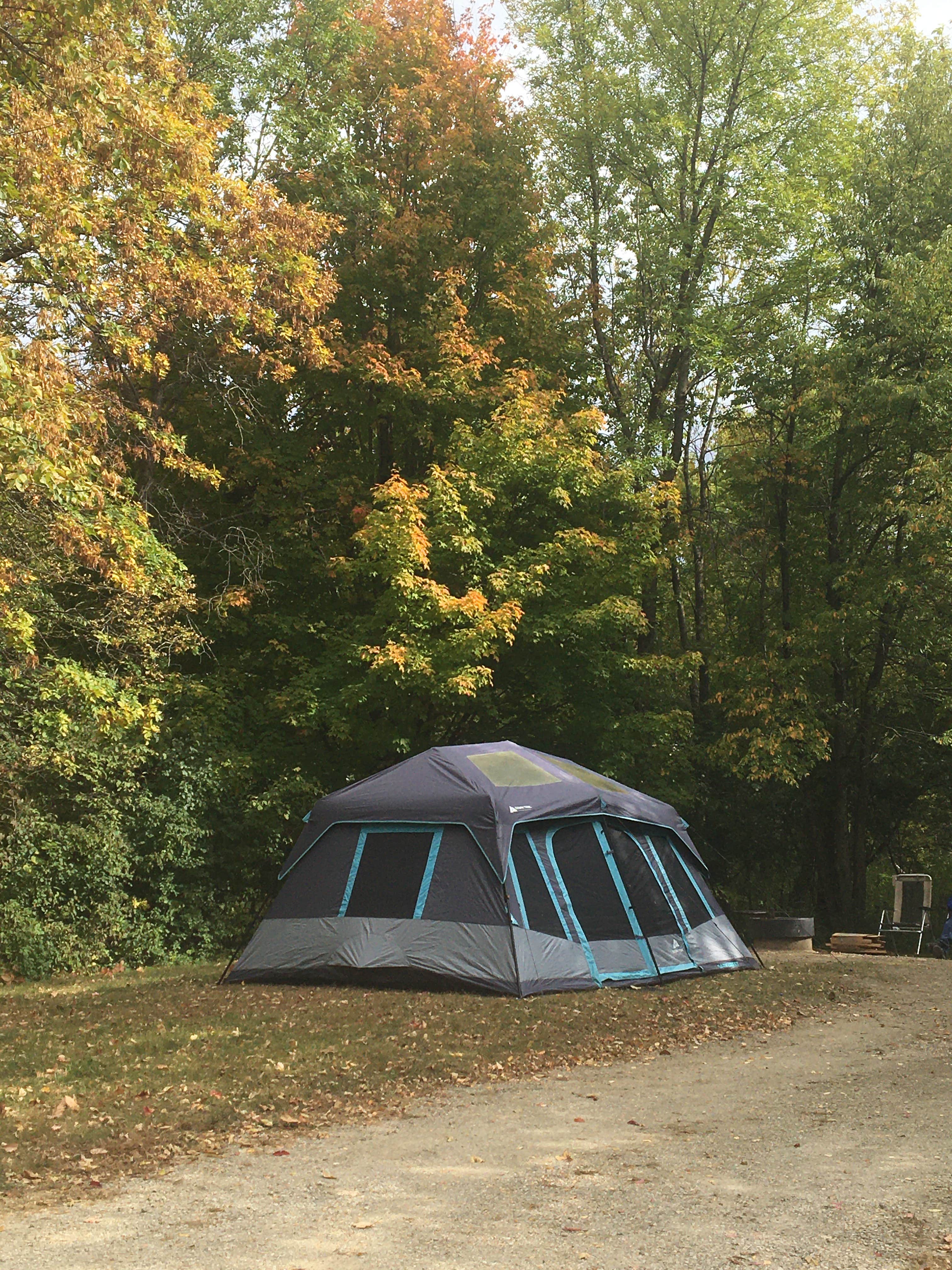 Deanna J.'s photo at White Fox — Myre-Big Island State Park near Clear Lake, IA