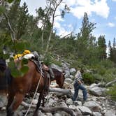 Review photo of Piute Creek Dispersed by Steph H., September 16, 2018