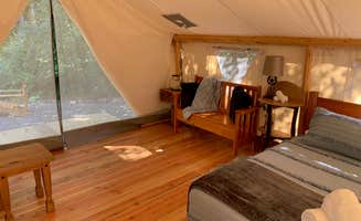 Dustin A.'s photo of glamping accommodations at Umpqua's Last Resort & Oregon Mountain Guides near Sutherlin, OR