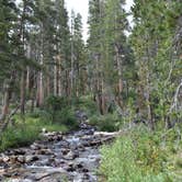 Review photo of Piute Creek Dispersed by Steph H., September 16, 2018