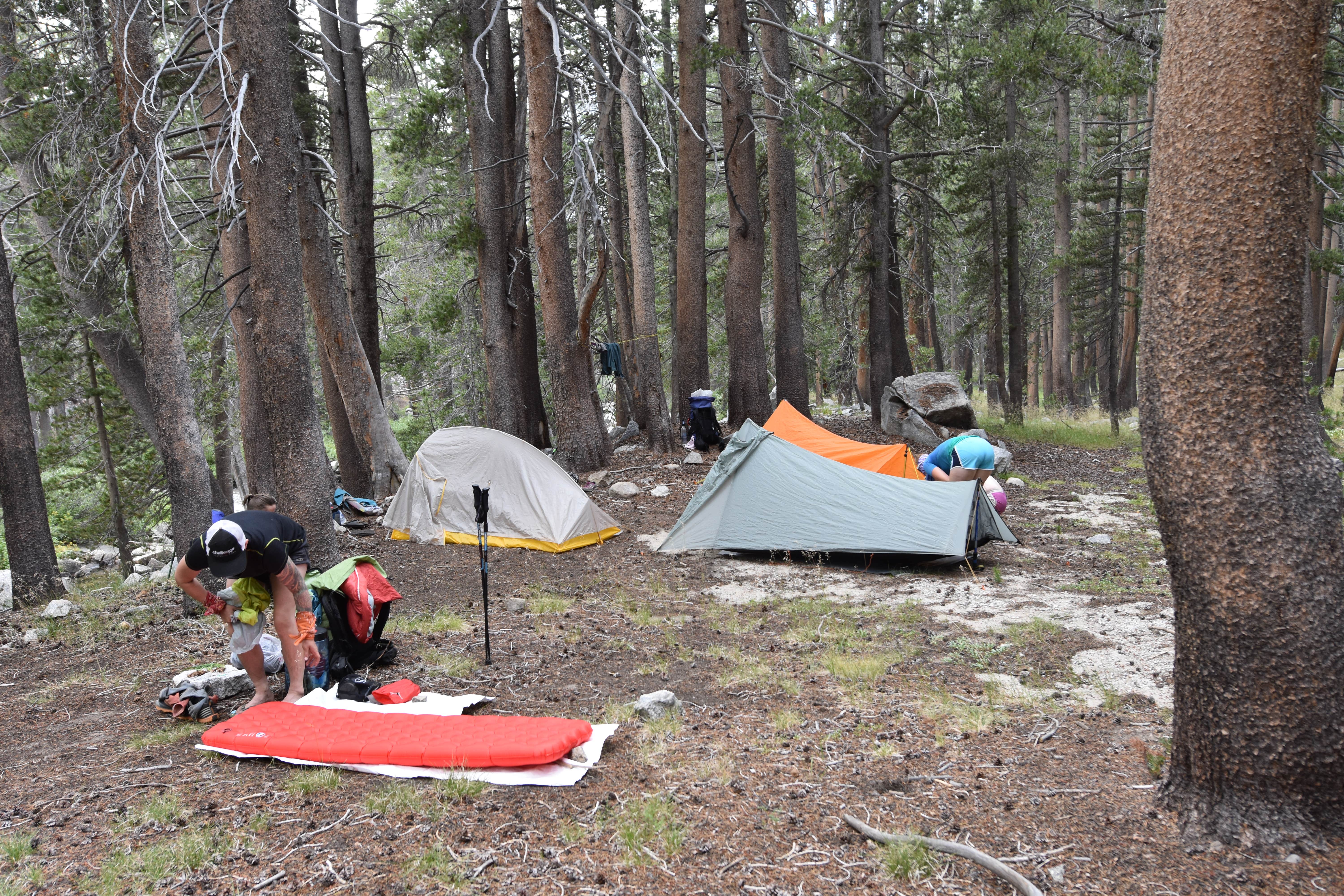 Steph H.'s photo of a dispersed camping area at Piute Creek Dispersed near Big Pine, CA