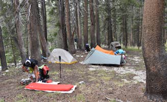 Steph H.'s photo of a dispersed camping area at Piute Creek Dispersed near Big Pine, CA