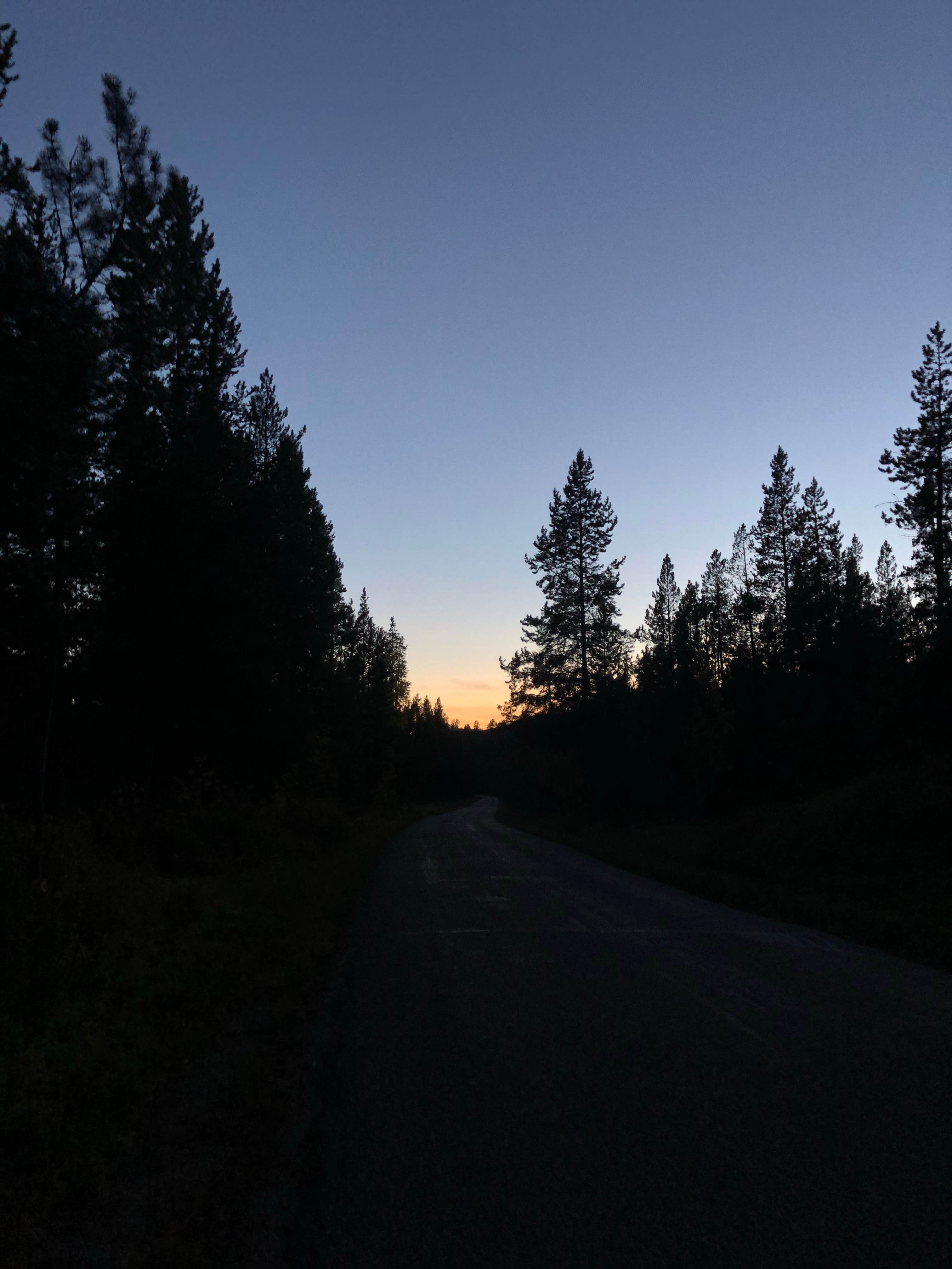 Camper-submitted photo at Box Creek near Shoshone National Forest