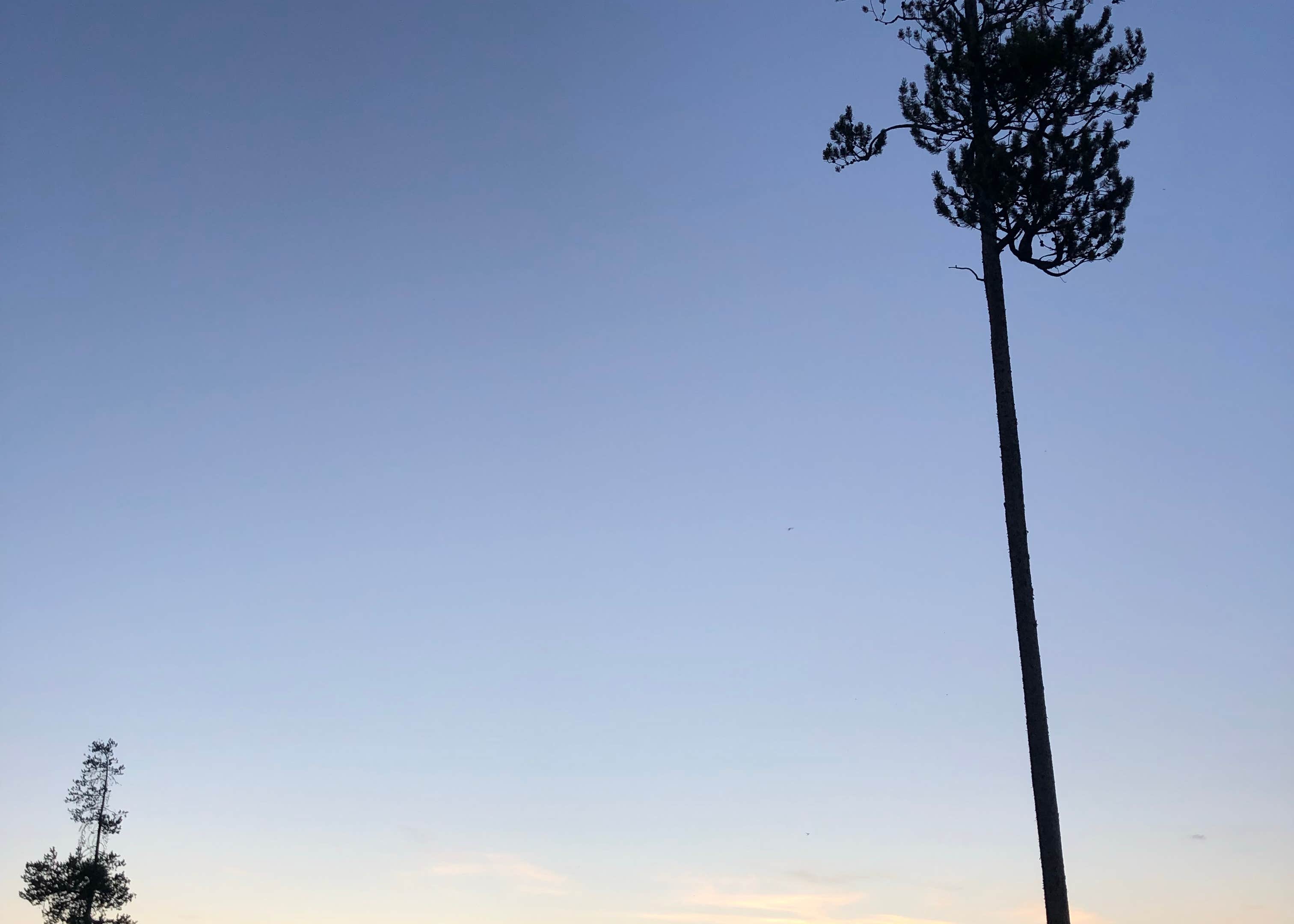 Box Creek Camping The Dyrt