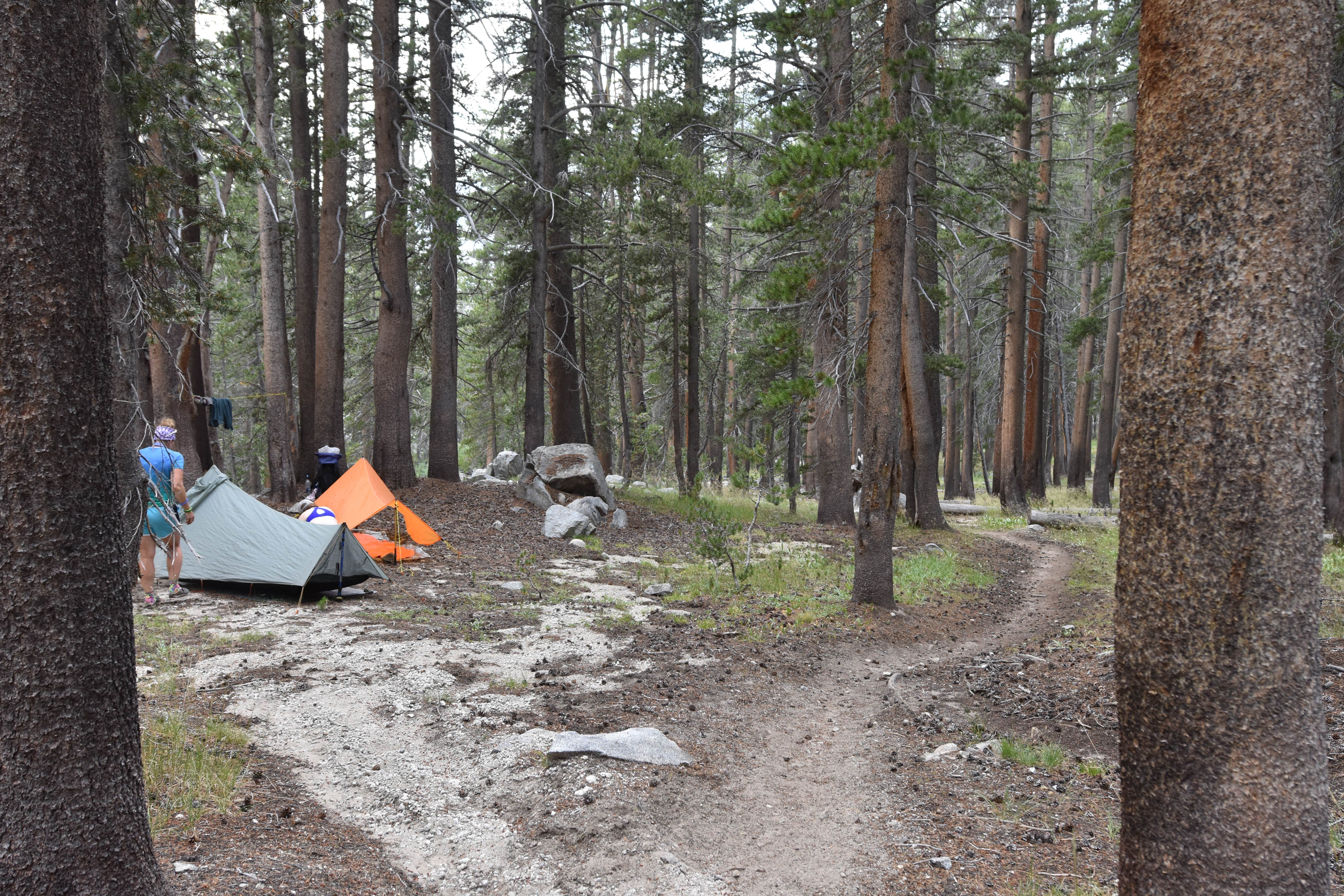 Steph H.'s photo of a dispersed camping area at Piute Creek Dispersed near Shaver Lake, CA