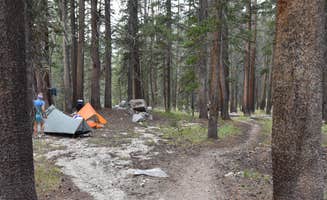 Steph H.'s photo of a dispersed camping area at Piute Creek Dispersed near Shaver Lake, CA