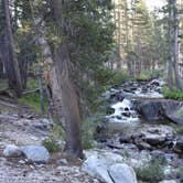 Review photo of Piute Creek Dispersed by Steph H., September 16, 2018