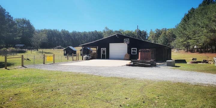 Camper submitted image from Sipsey Creek Farm