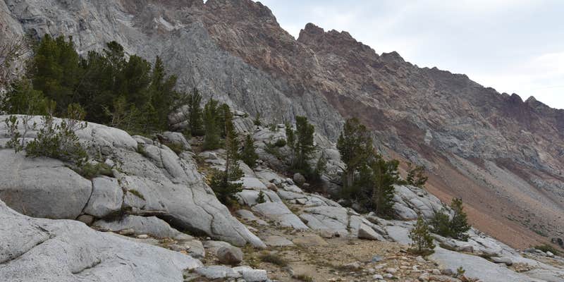 Camper submitted image from Piute Creek Dispersed