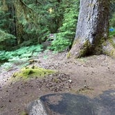 Review photo of Sol Duc Campground - Group — Olympic National Park by Danielle R., September 16, 2018