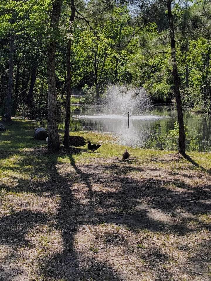 Camper-submitted photo at Affordable RV of Texas near Shepherd, TX