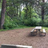 Review photo of Beverly Beach State Park Campground by Danielle R., September 16, 2018