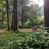 Review photo of Beverly Beach State Park Campground by Danielle R., September 16, 2018