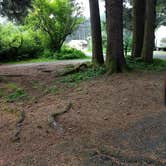 Review photo of Beverly Beach State Park Campground by Danielle R., September 16, 2018
