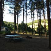 Review photo of Blue Bell Campground — Custer State Park by Danielle R., September 16, 2018