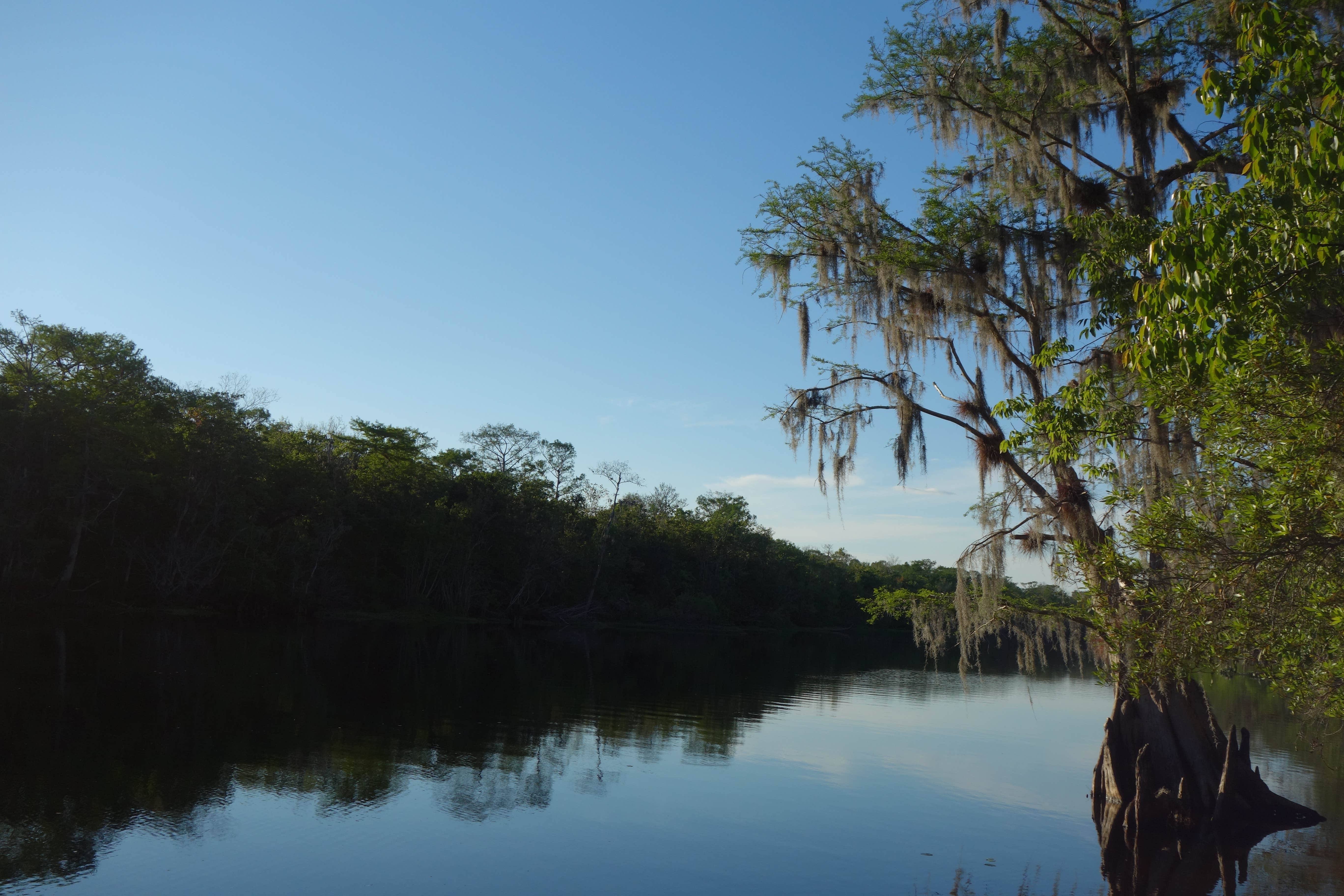 Camper-submitted photo at Hontoon Island State Park Campground near Osteen, FL