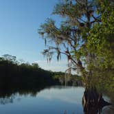 Review photo of Hontoon Island State Park Campground by Megan K., September 16, 2018