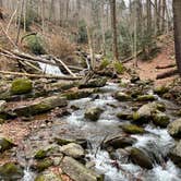 Review photo of Worthington State Forest Campground — Delaware Water Gap National Recreation Area by Jamie A., November 15, 2022