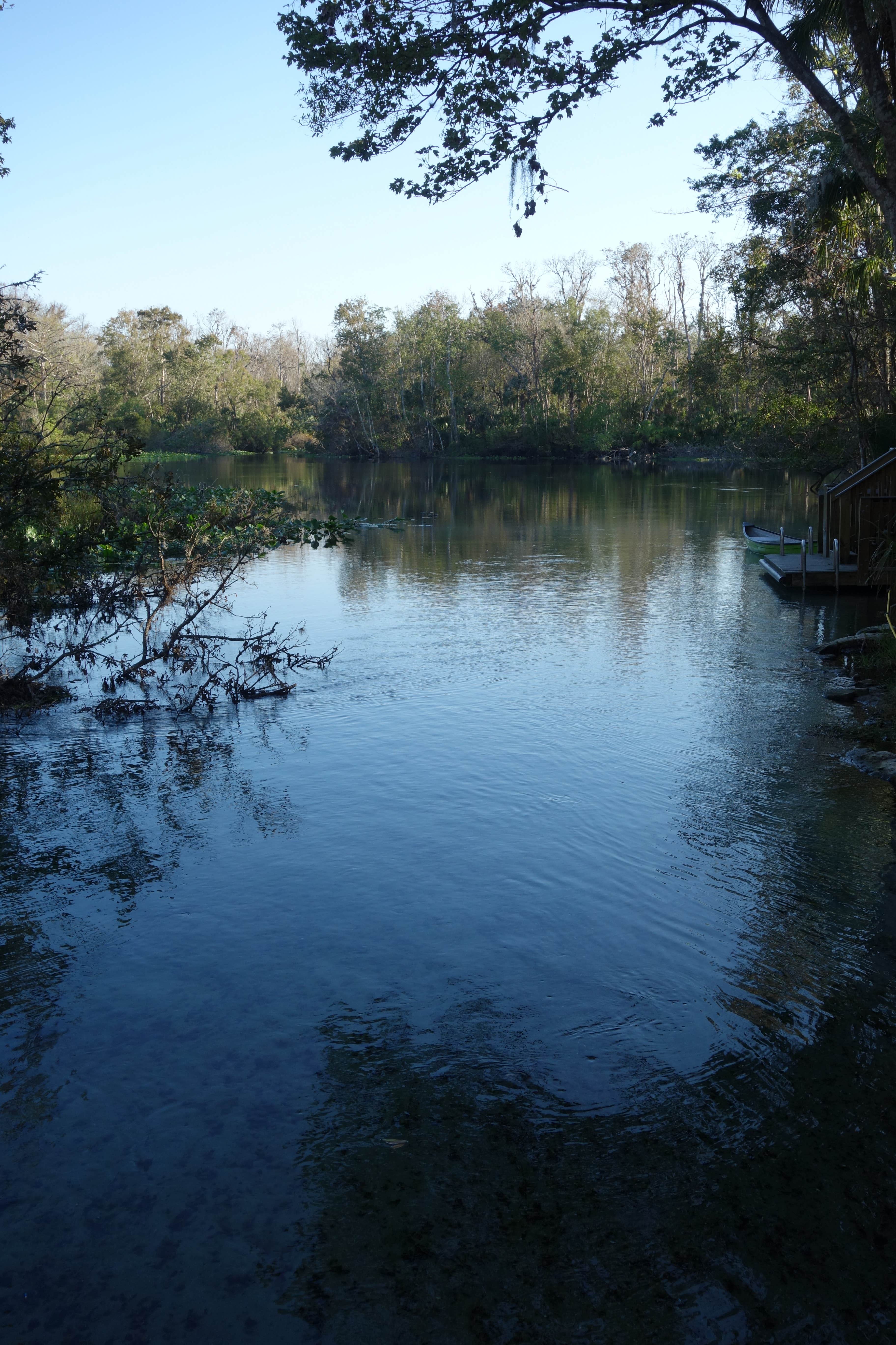 Camper-submitted photo at Wekiva Falls RV Resort near Osteen, FL