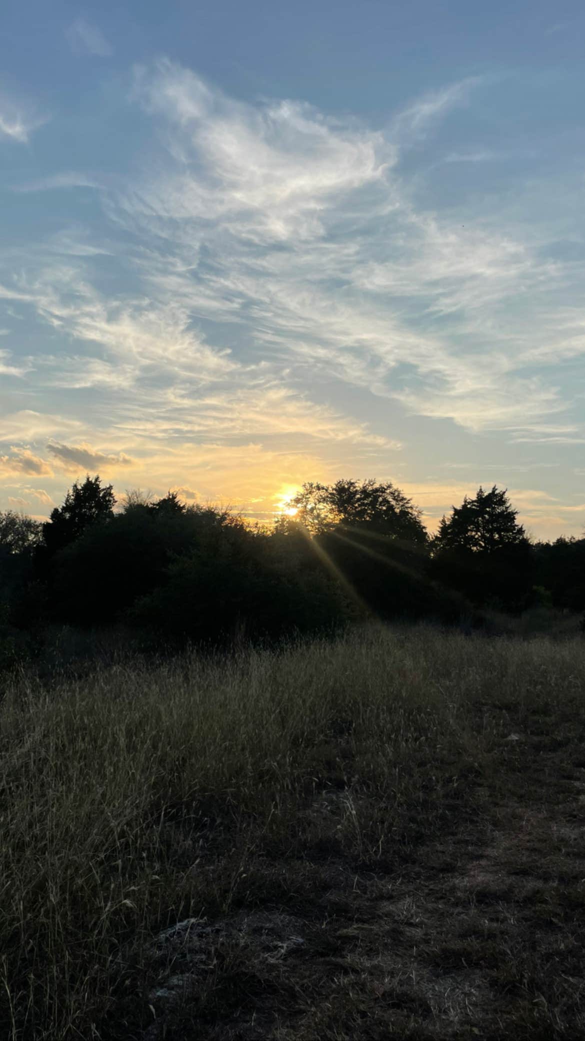 Camper-submitted photo at Integrated Regenerative Farms near Elgin, TX