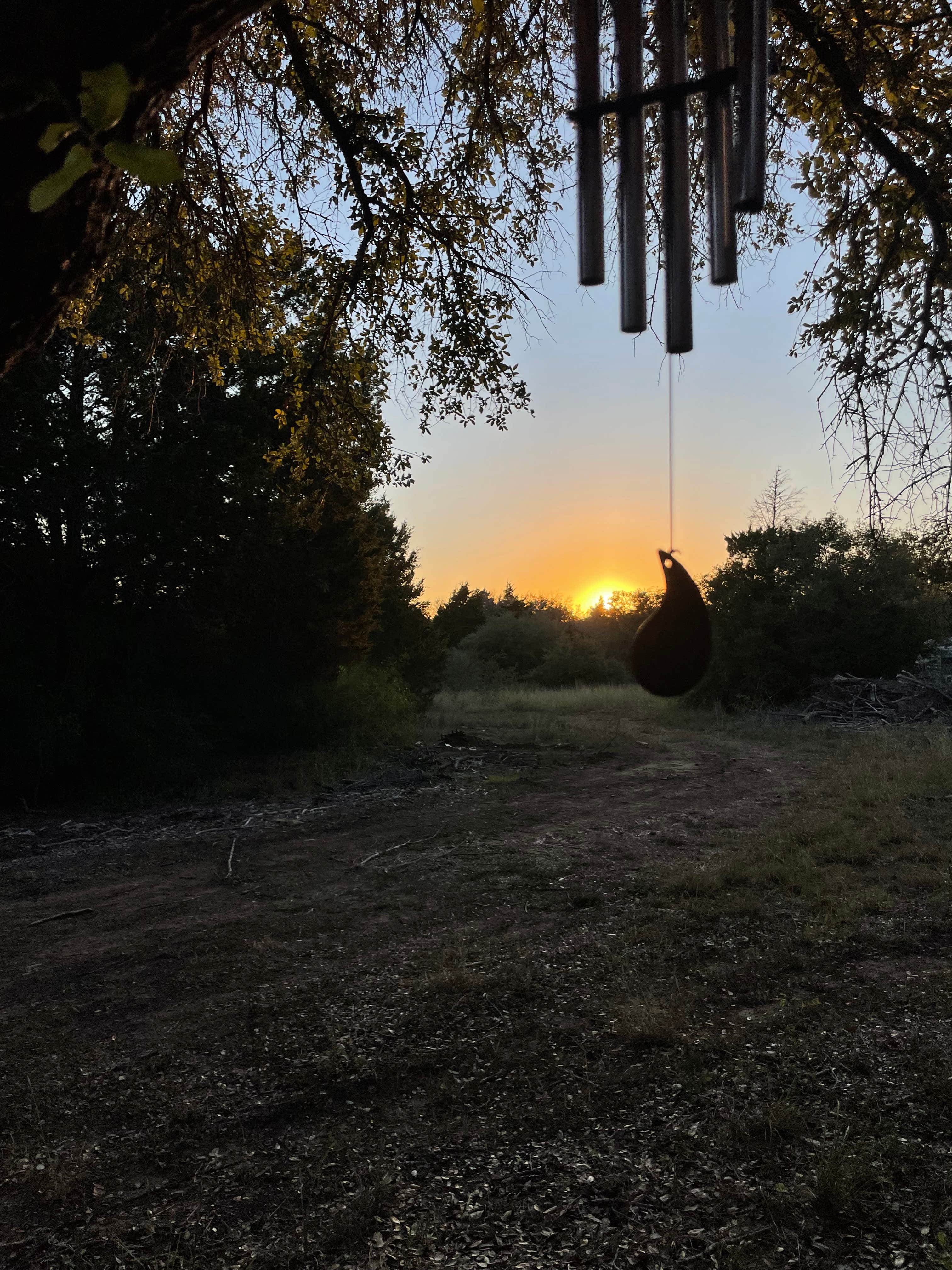 Camping near Vernon L Richards Riverbend Park: Integrated Regenerative Farms, Smithville, Texas
