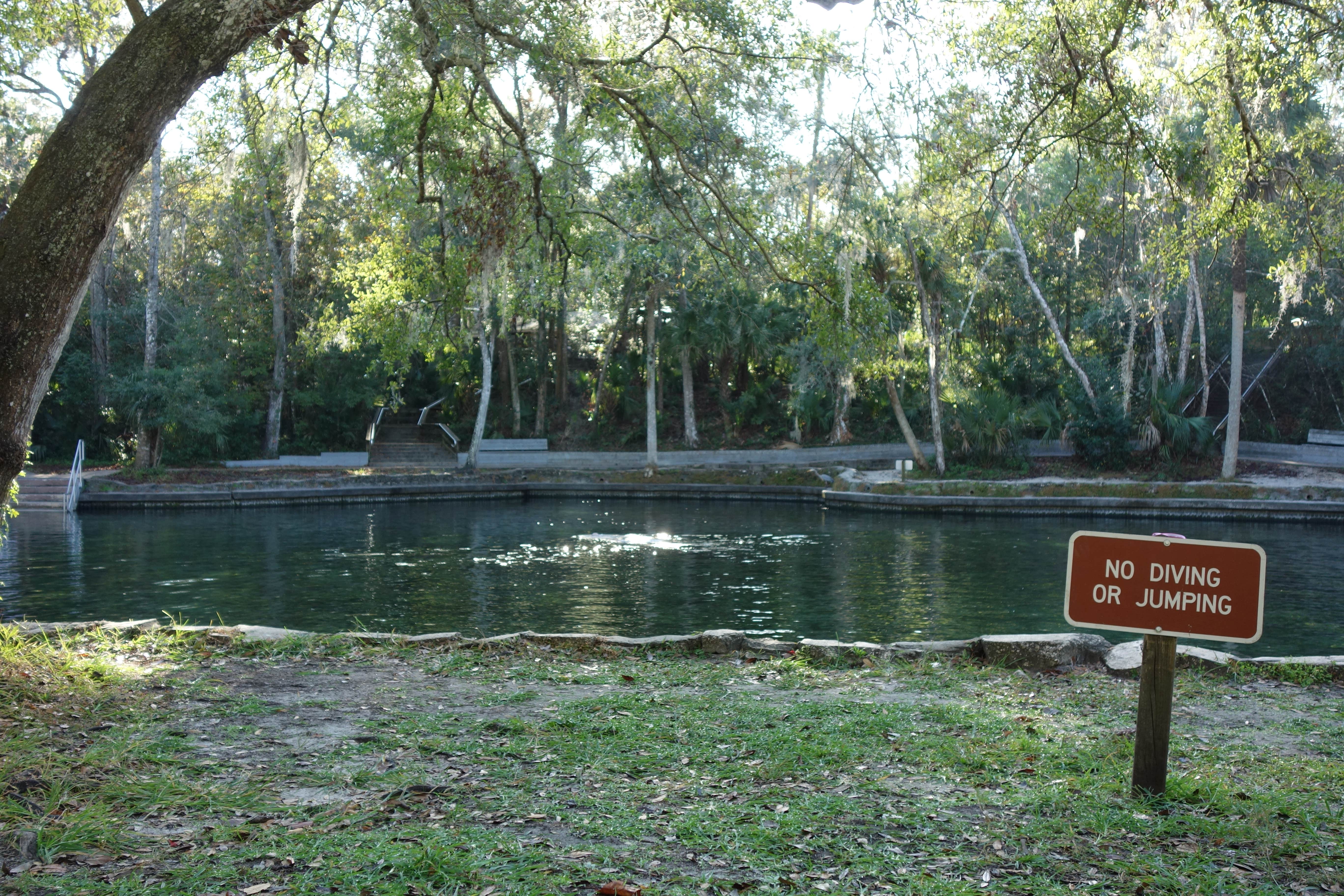 Camper-submitted photo at Wekiva Falls RV Resort near Osteen, FL