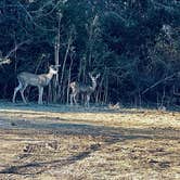 Review photo of Thousand Trails San Benito by Jeret B., November 15, 2022