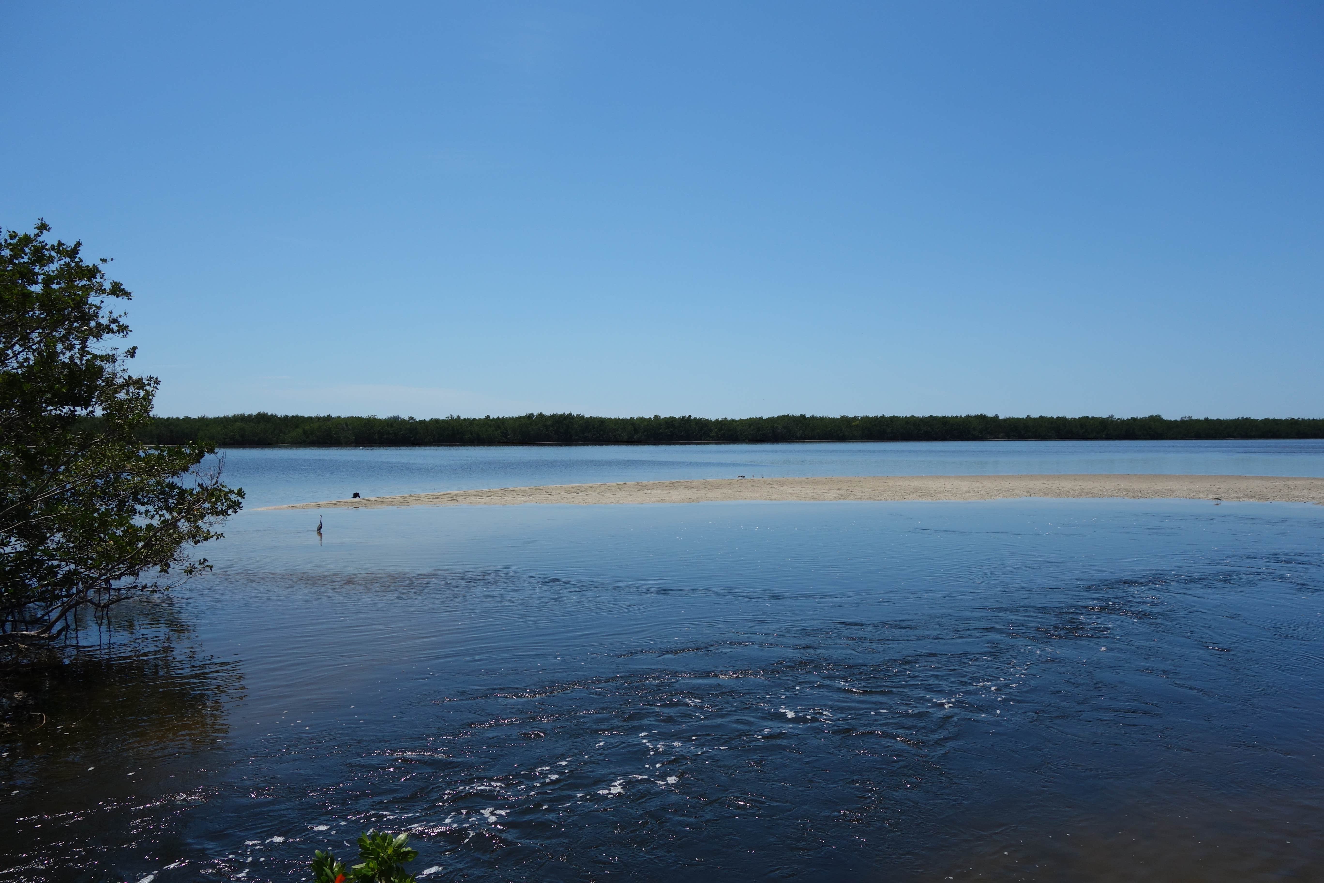 Camper-submitted photo at Periwinkle Park near St. James City, FL